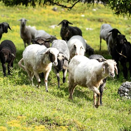 Wimbachlehen Leilighet Ramsau bei Berchtesgaden Eksteriør bilde