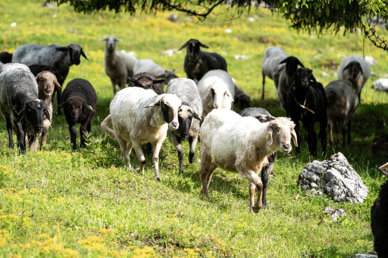 Wimbachlehen Leilighet Ramsau bei Berchtesgaden Eksteriør bilde